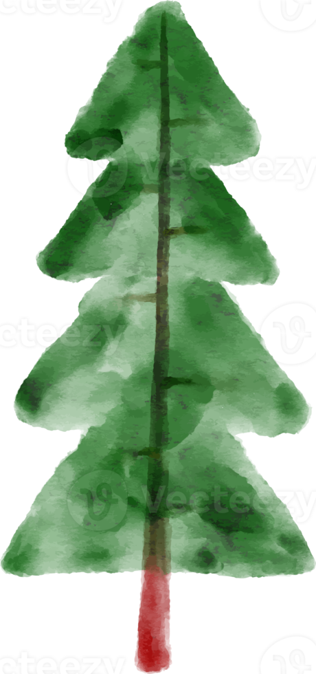 Christmas Watercolor Spruce Tree png