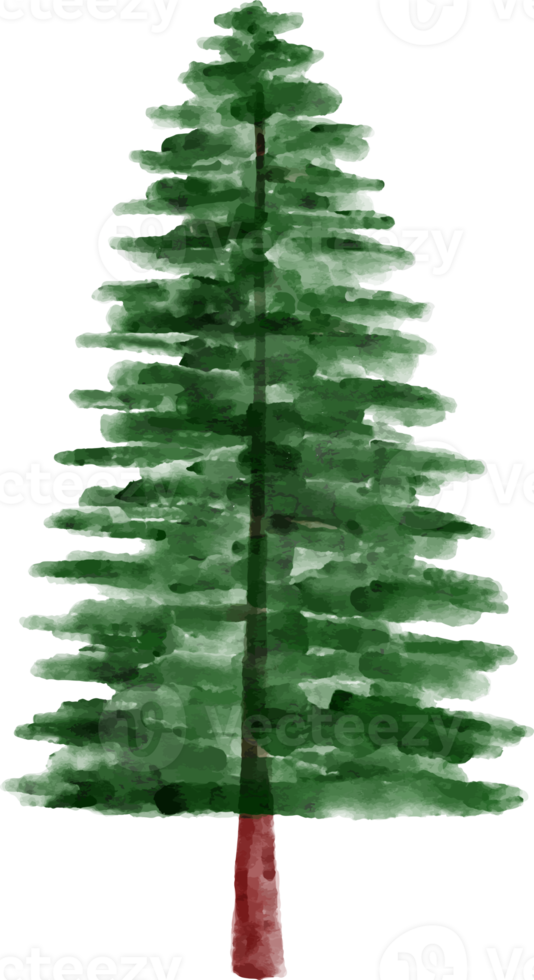 Watercolor Pine Tree Clip Art png