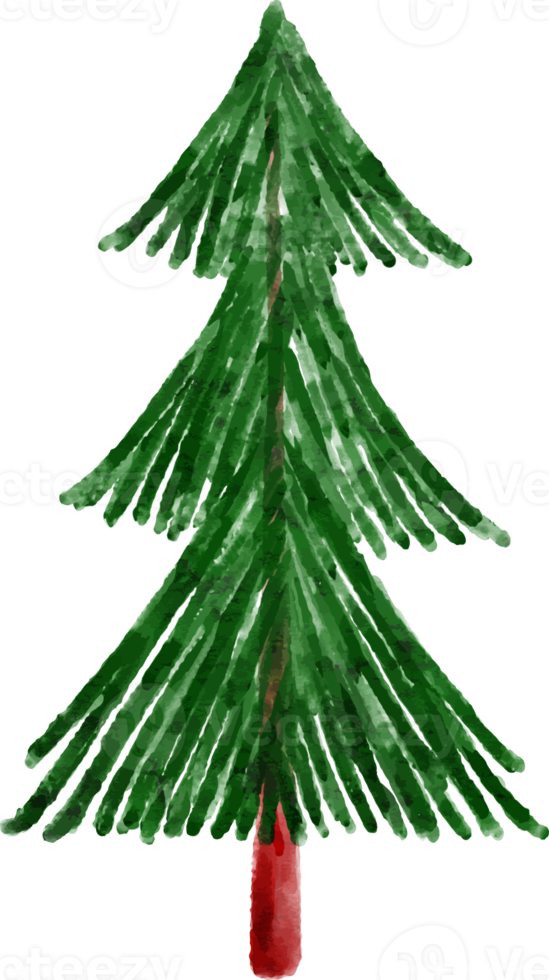 Hand Drawn Spruce Tree Watercolor png