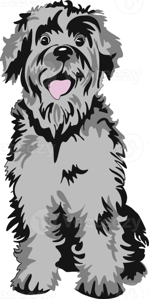 perro peludo schnauzer png