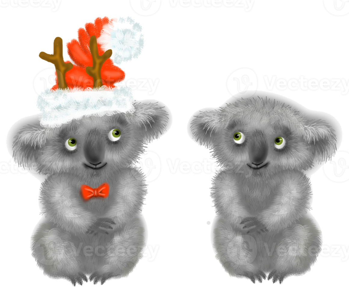 twee koala's, een van hen is proberen Aan een nieuw jaar hoed. png