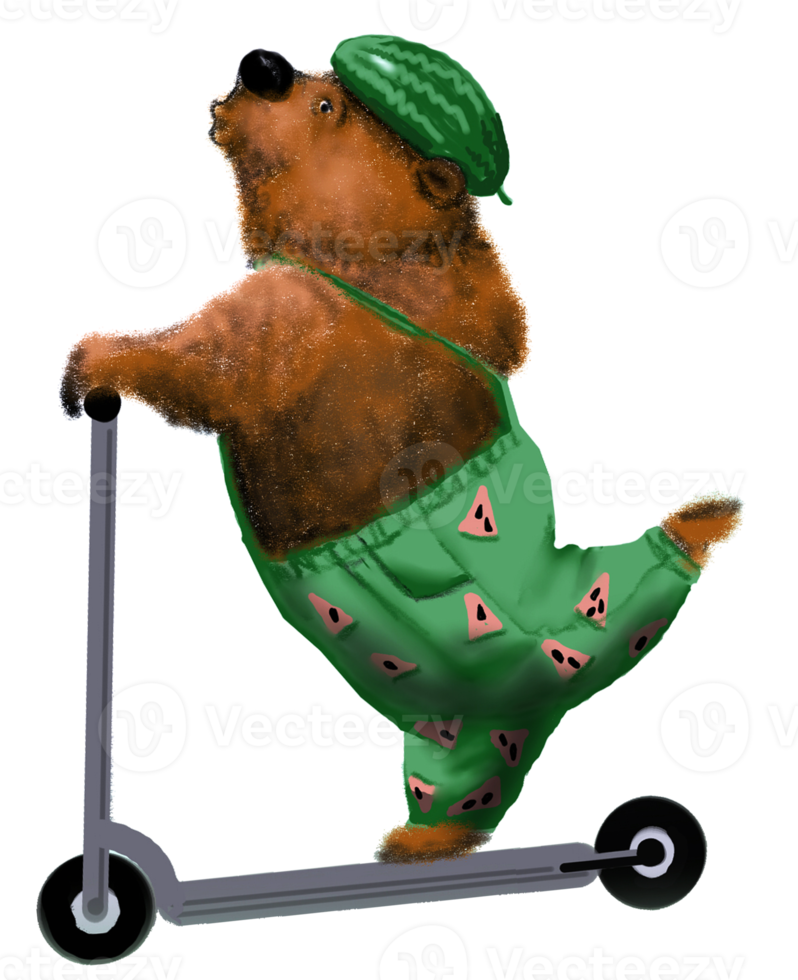 Cartoon bear in a watermelon helmet rolling on a scooter, stretching his lips as if whistling. png