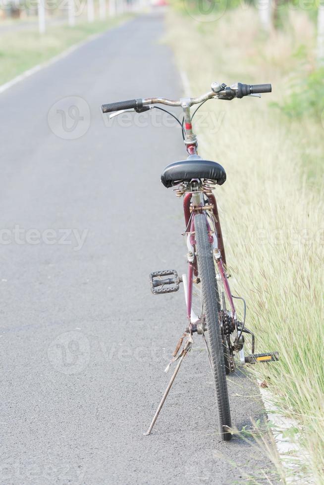 spring landscape with Bicycle on the road photo