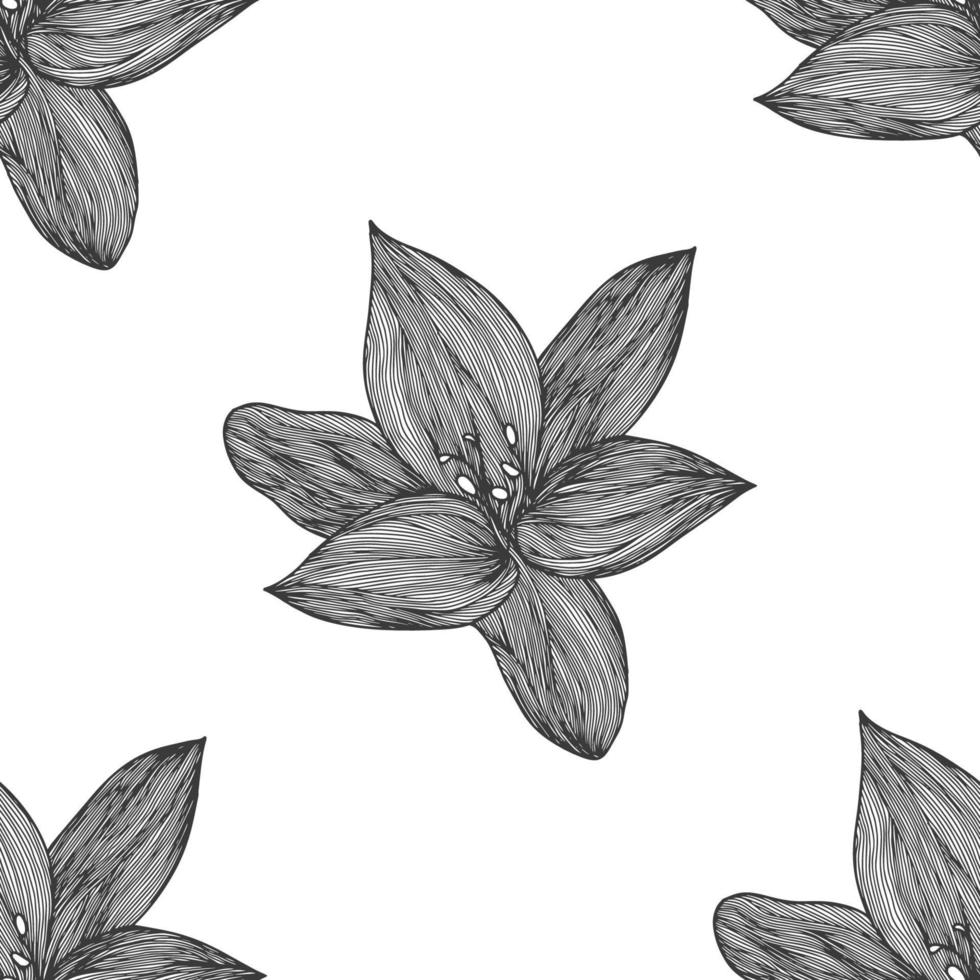 Floral vector background black and white. Linear lily flower line seamless pattern for textile design. Vector seamless black and white flower pattern.