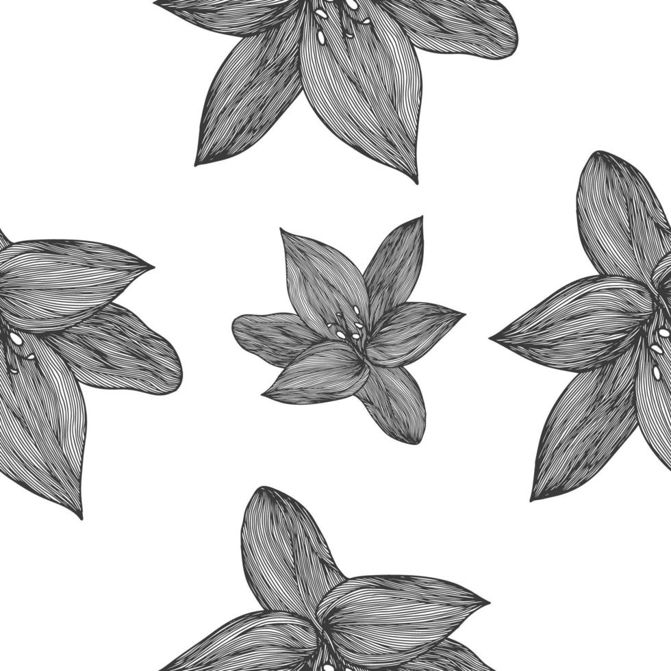 Floral vector background black and white. Linear lily flower line seamless pattern for textile design. Vector seamless black and white flower pattern.