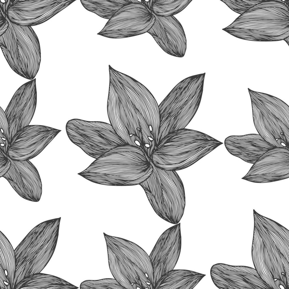 Floral vector background black and white. Linear lily flower line seamless pattern for textile design. Vector seamless black and white flower pattern.