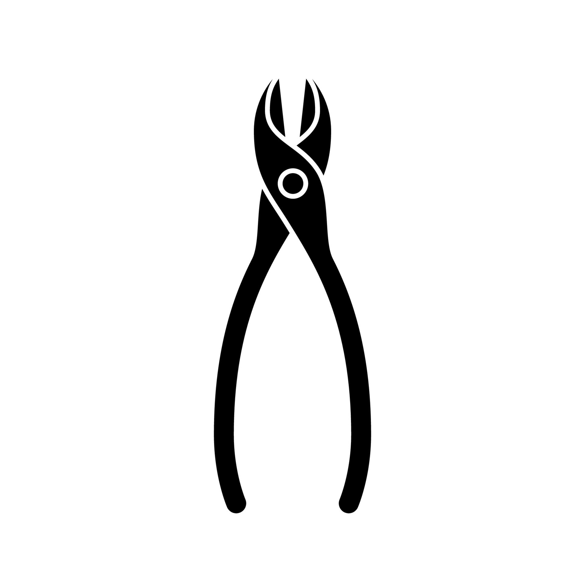 Pincers, plier, reparation, thread cutter, tool icon - Download on
