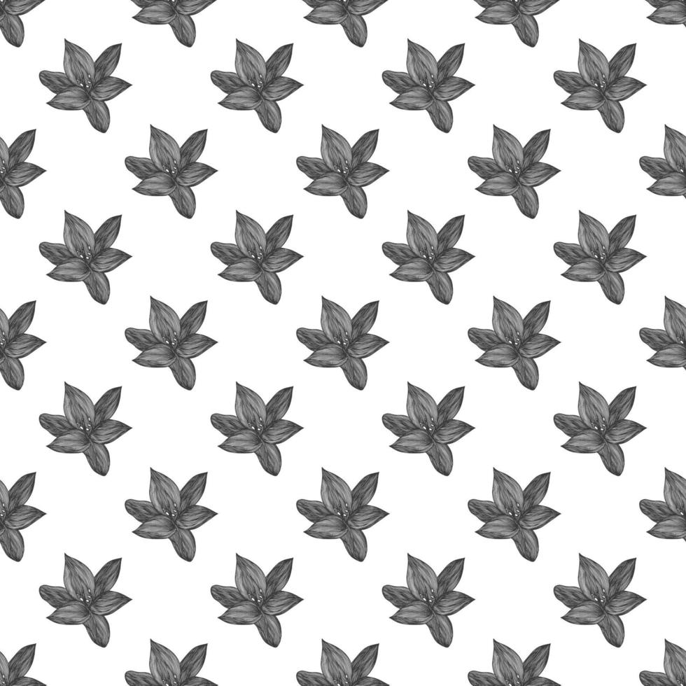 Floral vector background black and white. Linear lily flower line