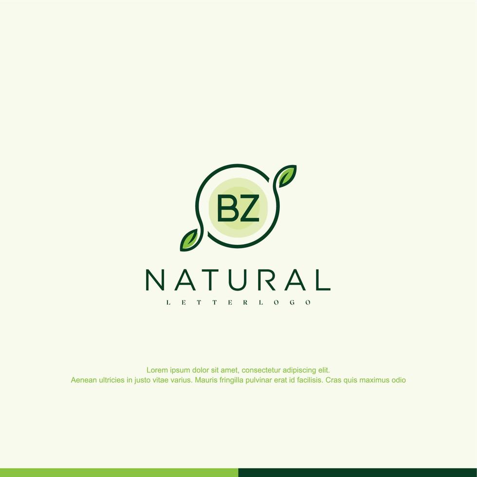 logotipo natural inicial de bz vector