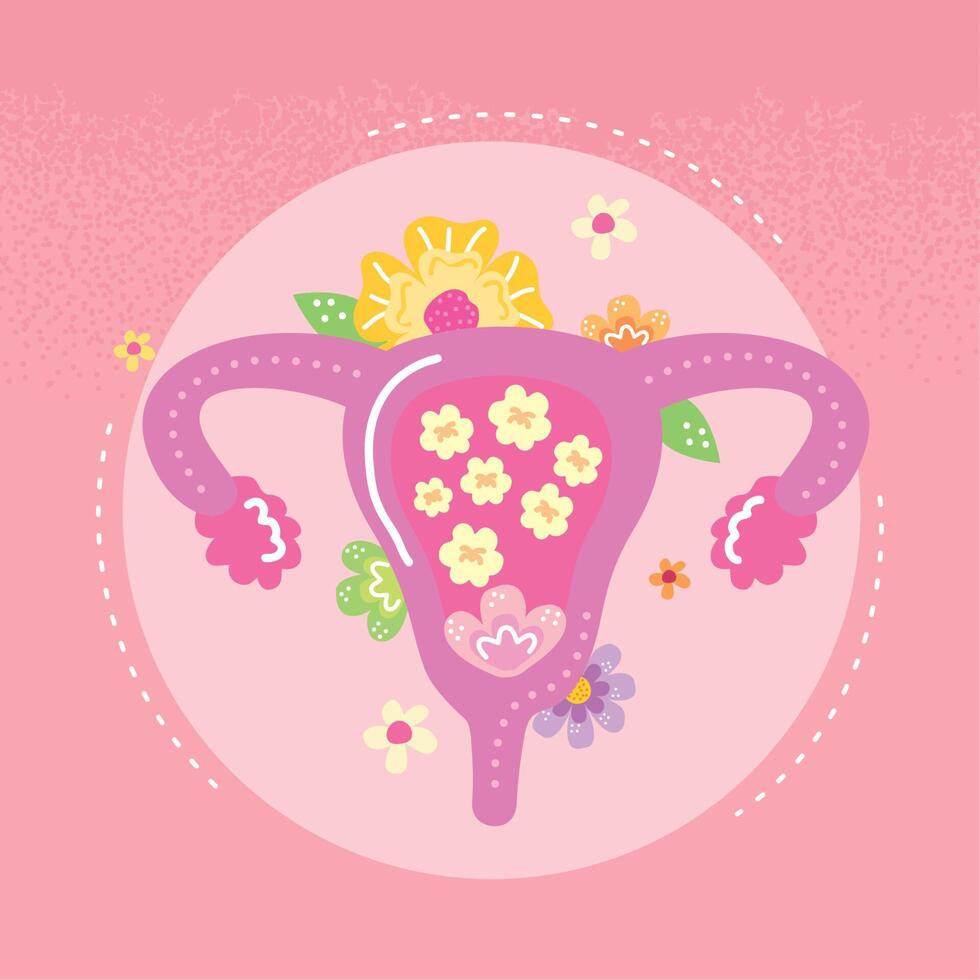 woman uterus and flowers vector