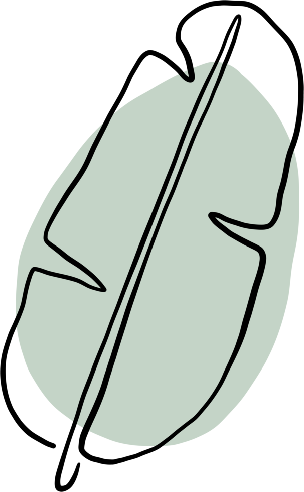 simplicity banana leaf freehand continuous drawing flat design. png