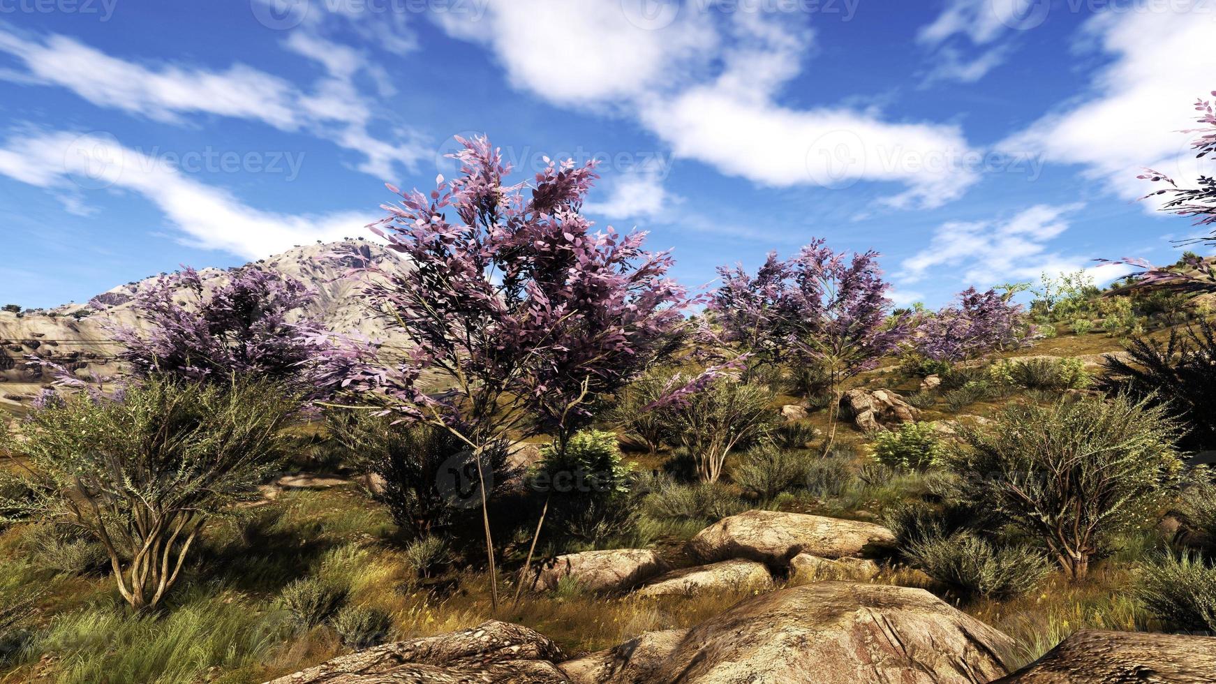 Rich natural forest area, streams, sky, mountains and various plants 3D rendering photo