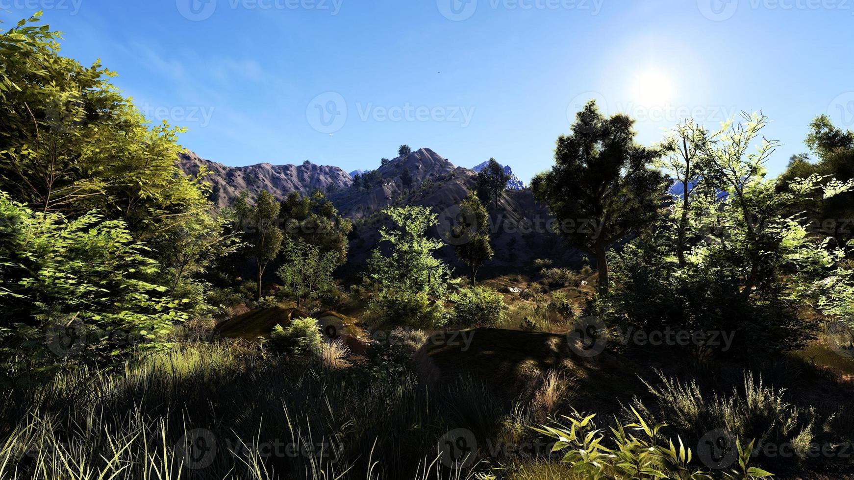 Rich natural forest area, streams, sky, mountains and various plants 3D rendering photo