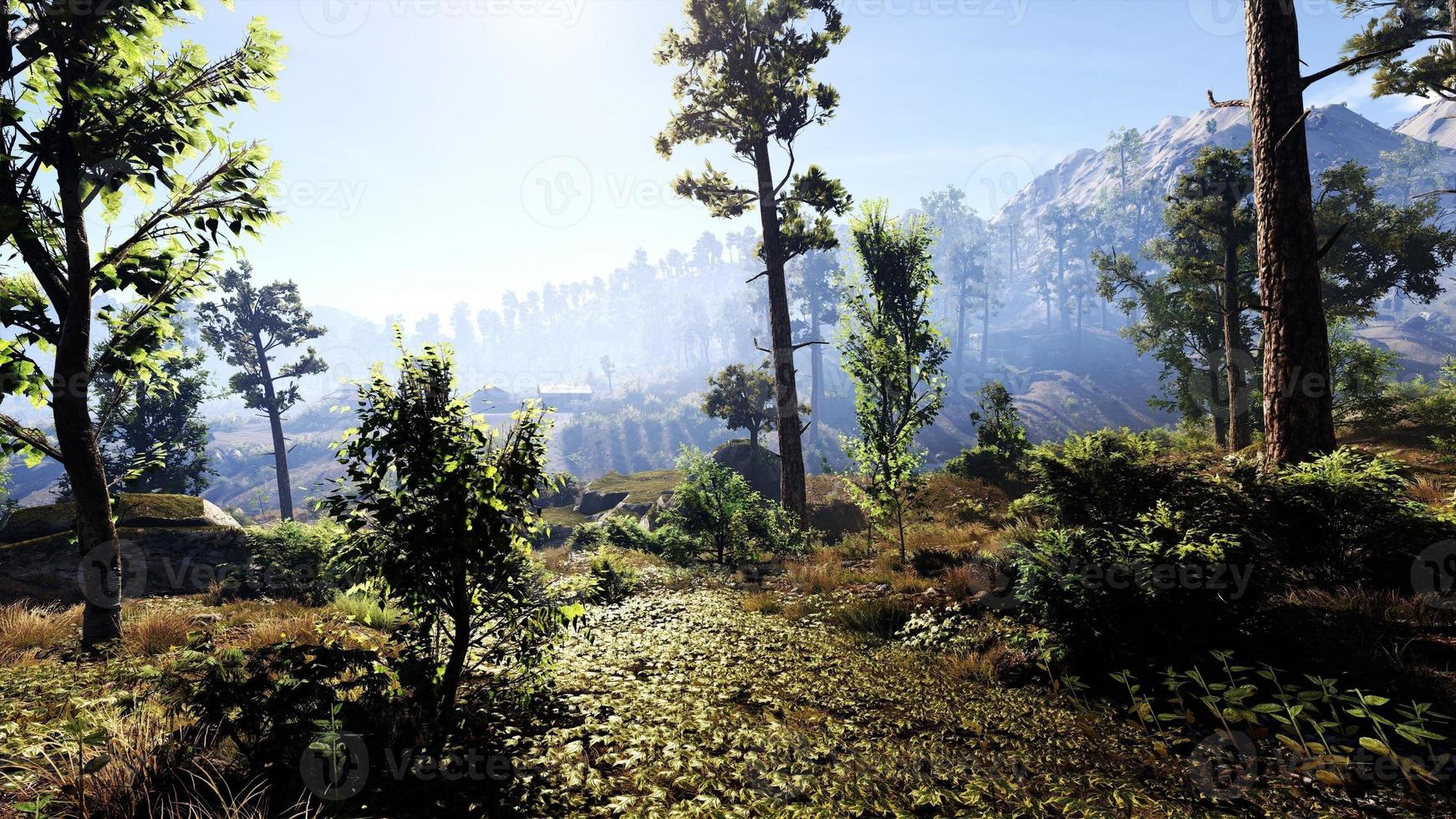 Rich natural forest area, streams, sky, mountains and various plants 3D rendering photo
