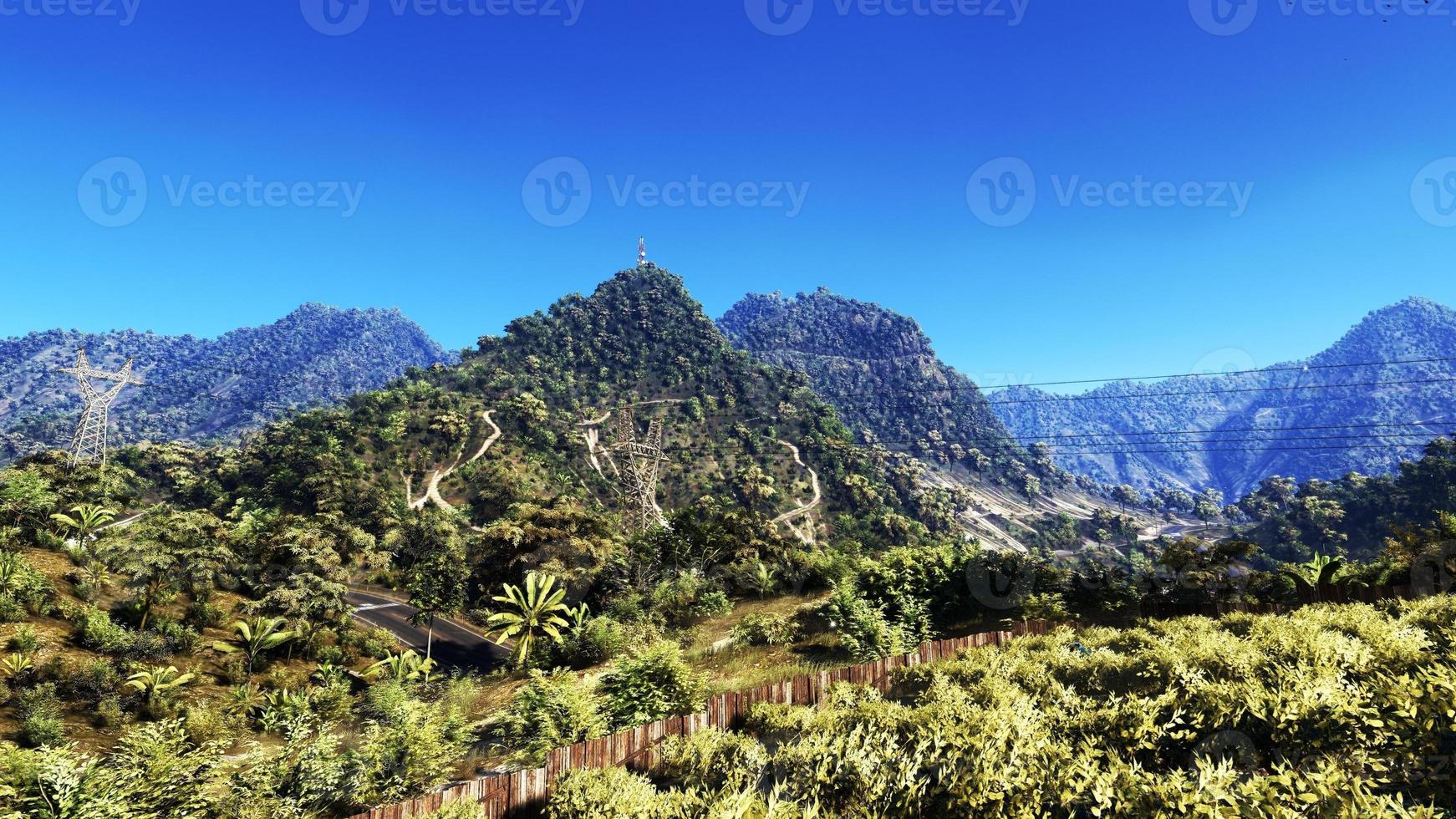 Rich natural forest area, streams, sky, mountains and various plants 3D rendering photo