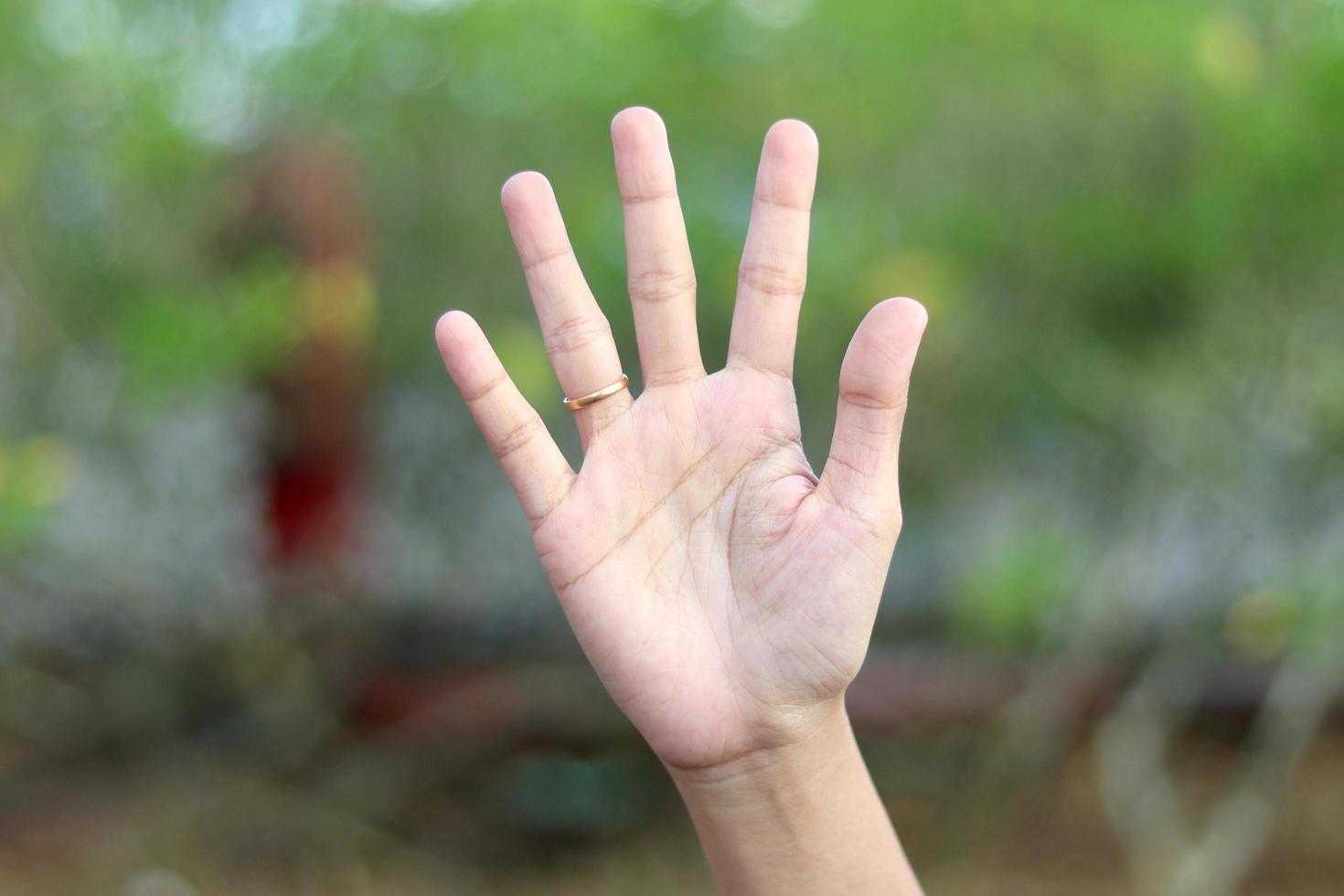 Showing numbers using sign language with female hands in isolated background photo