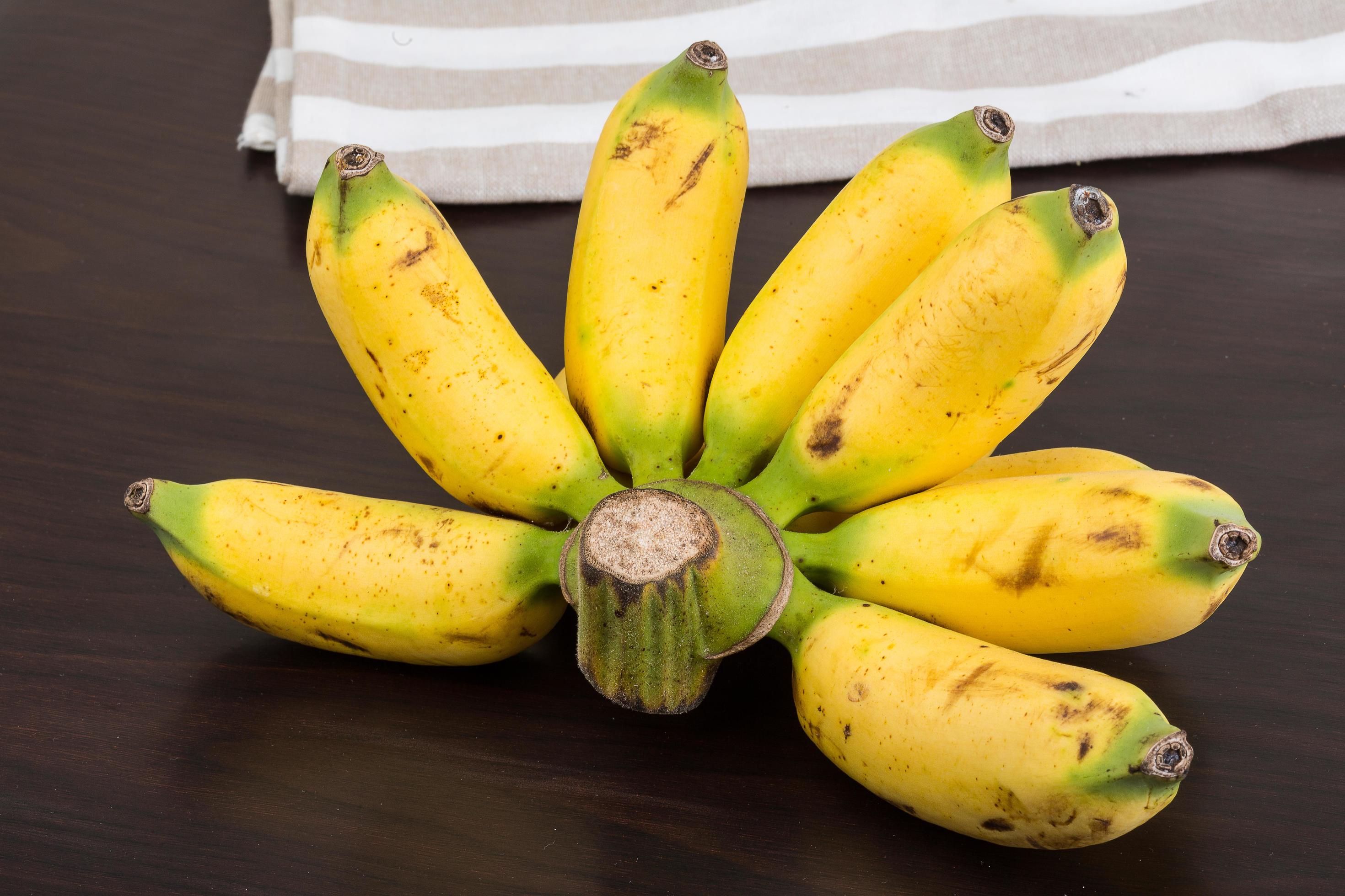 Baby banana on wooden background 12529145 Stock Photo at Vecteezy