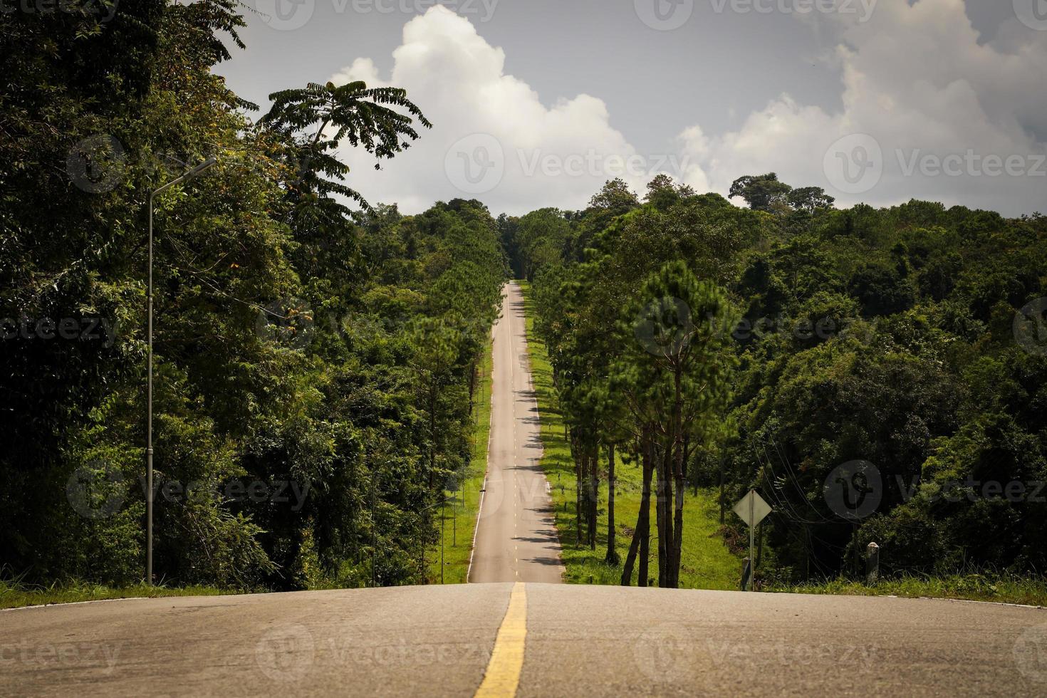 The asphalt road on both sides of the road was filled with big trees. photo