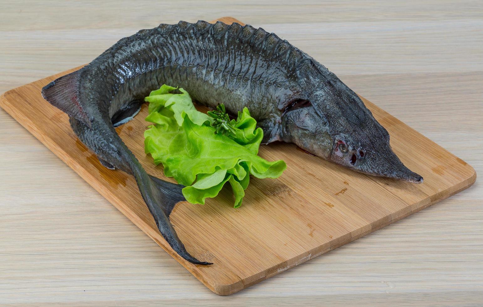 Raw strugeon on wooden board and wooden background photo