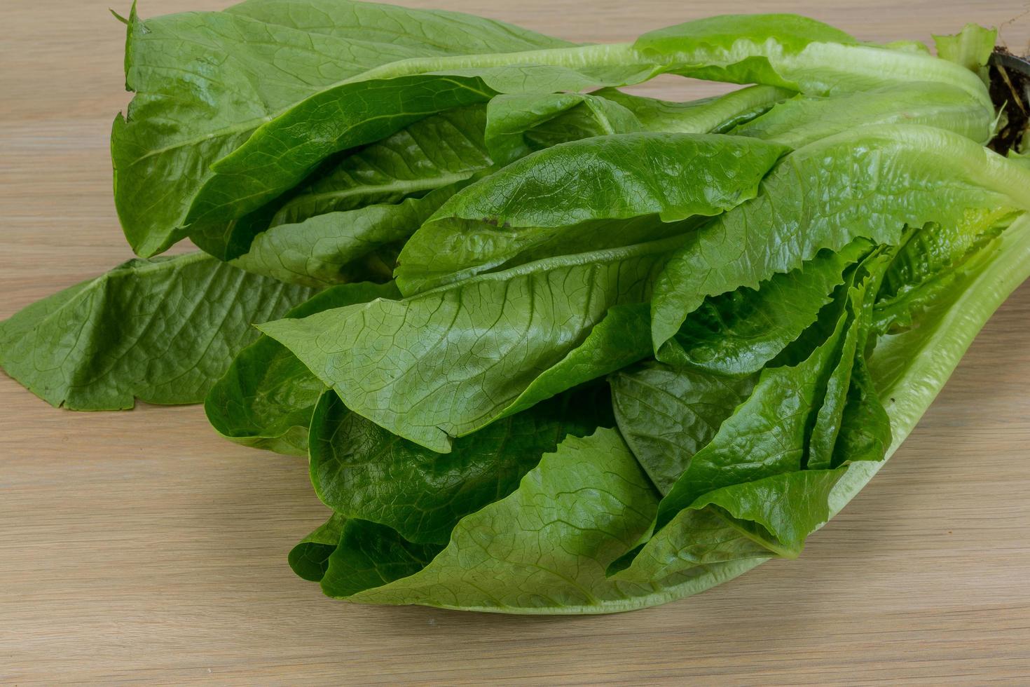 Romano salad on wooden background photo