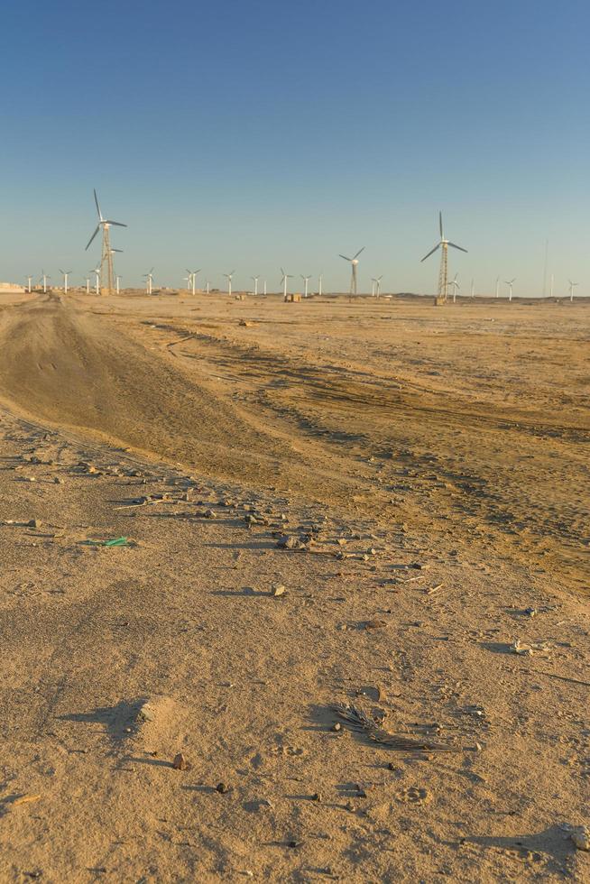 Wind farm landscape view photo