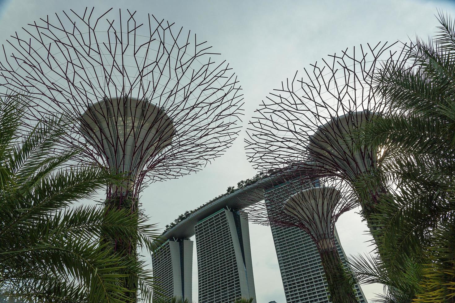 SINGAPORE, MAY 12, Gardens by the Bay on Mar 12, 2014 in Singapore. Gardens by the Bay was crowned World Building of the Year at the World Architecture Festival 2012 photo