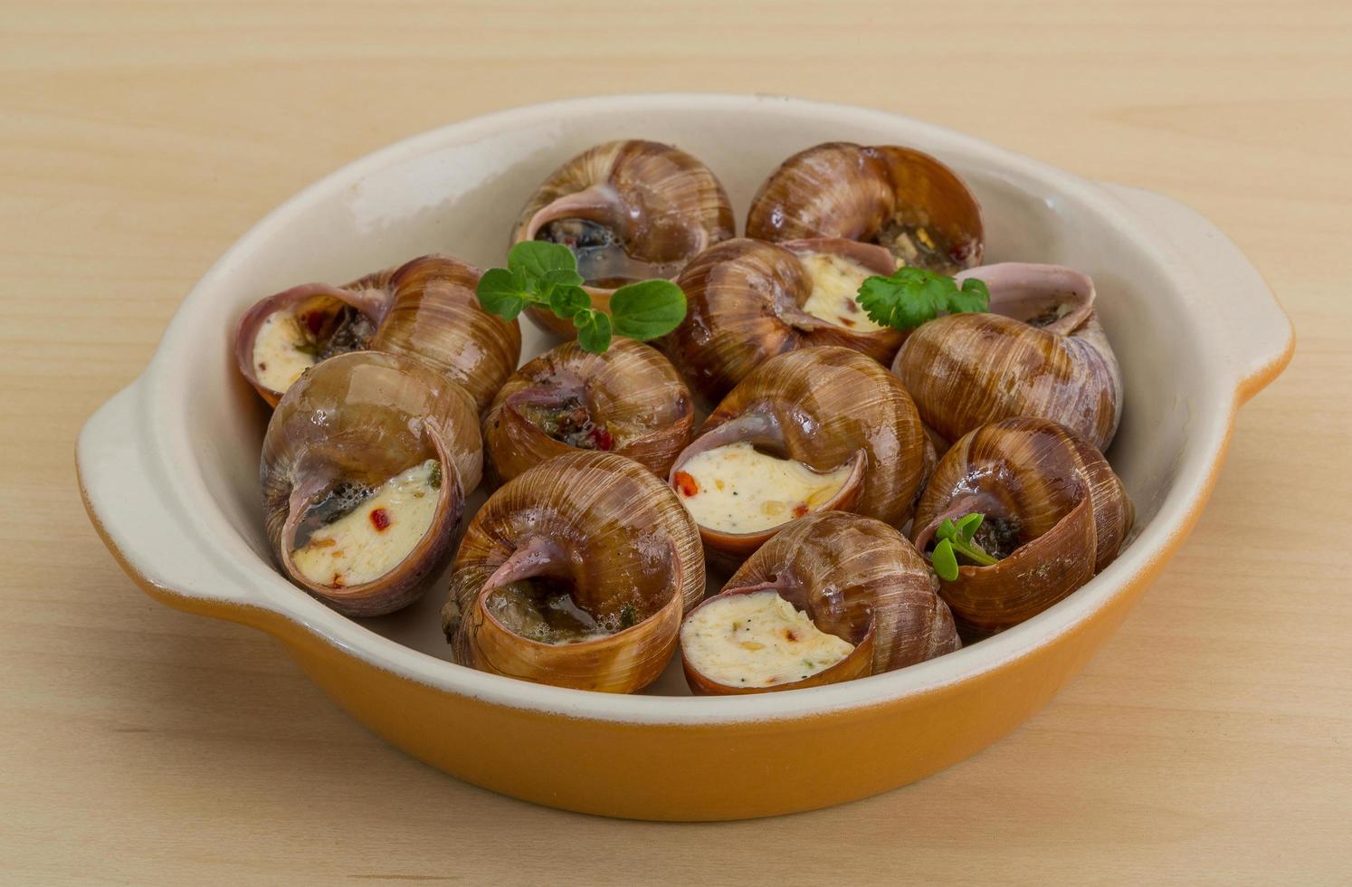 Escargot in a bowl on wooden background photo