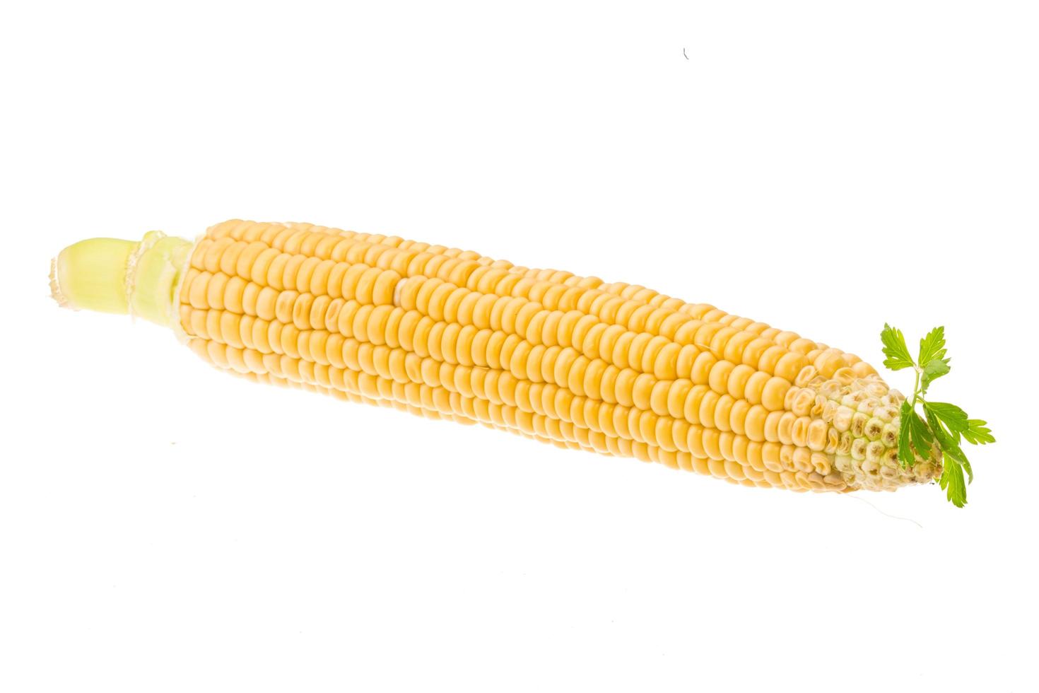 Corn on white background photo