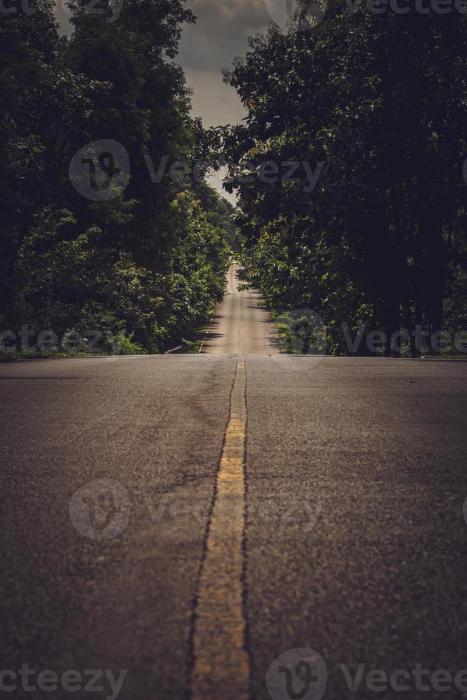 The asphalt road on both sides of the road was filled with big trees. photo