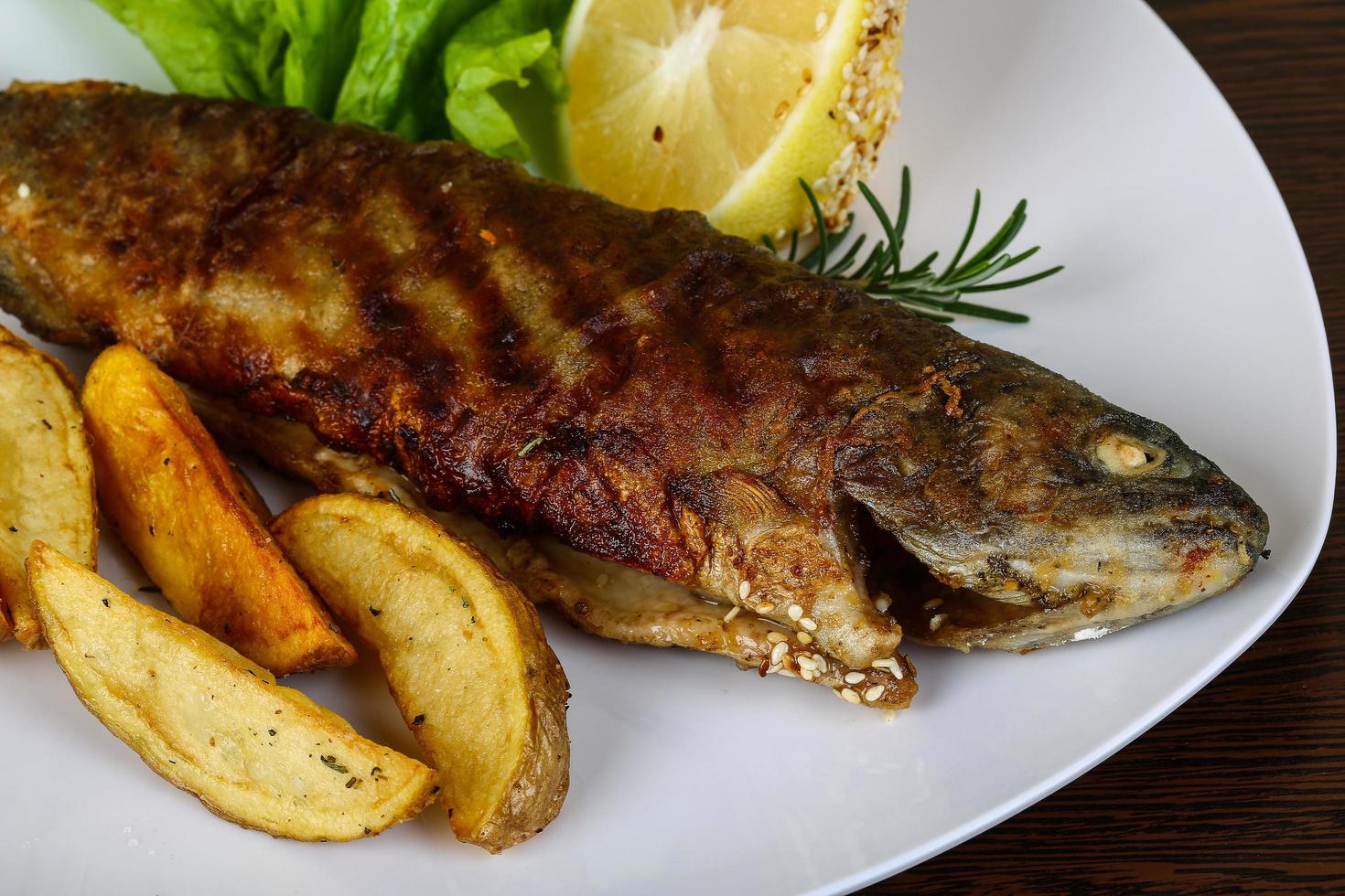 Grilled trout on the plate and wooden background photo