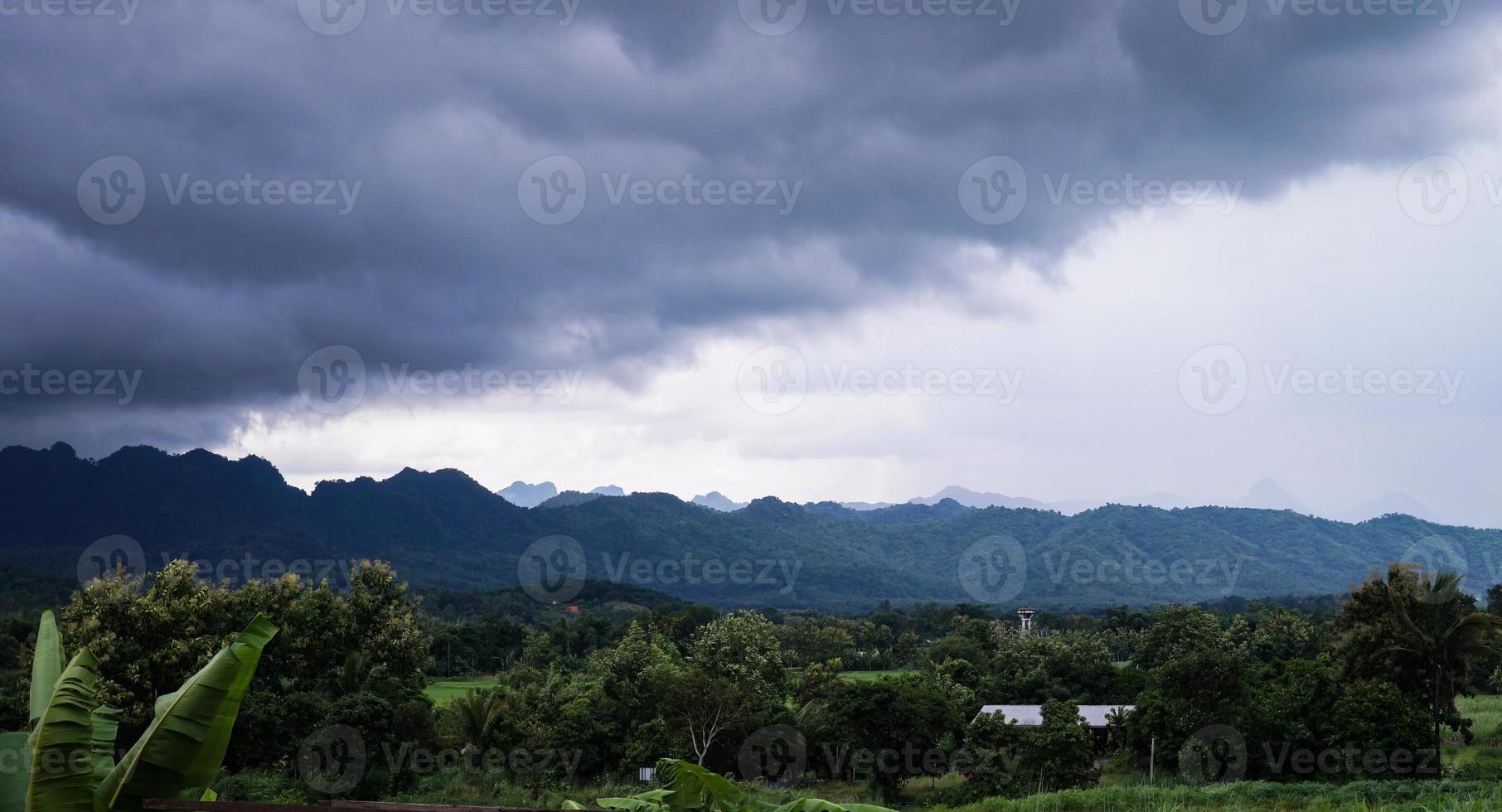 campo de arroz verde con fondo de montaña bajo un cielo nublado después de la lluvia en temporada de lluvias, vista panorámica del campo de arroz. foto