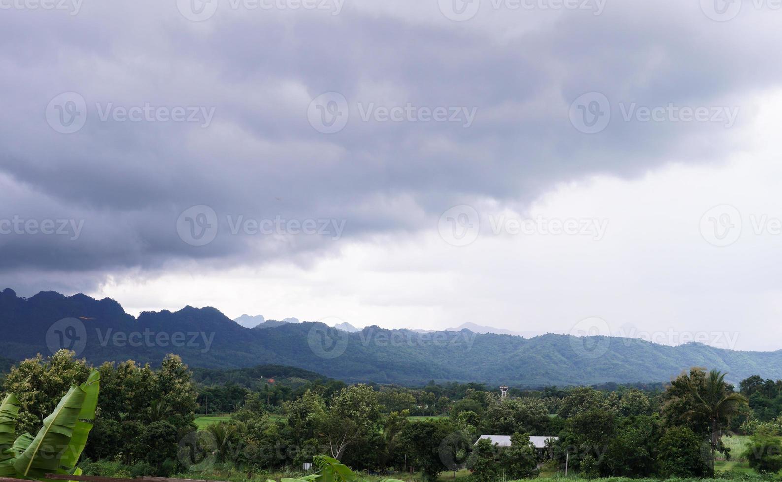 Green rice field with mountain background under cloudy sky after rain in rainy season, panoramic view rice field. photo