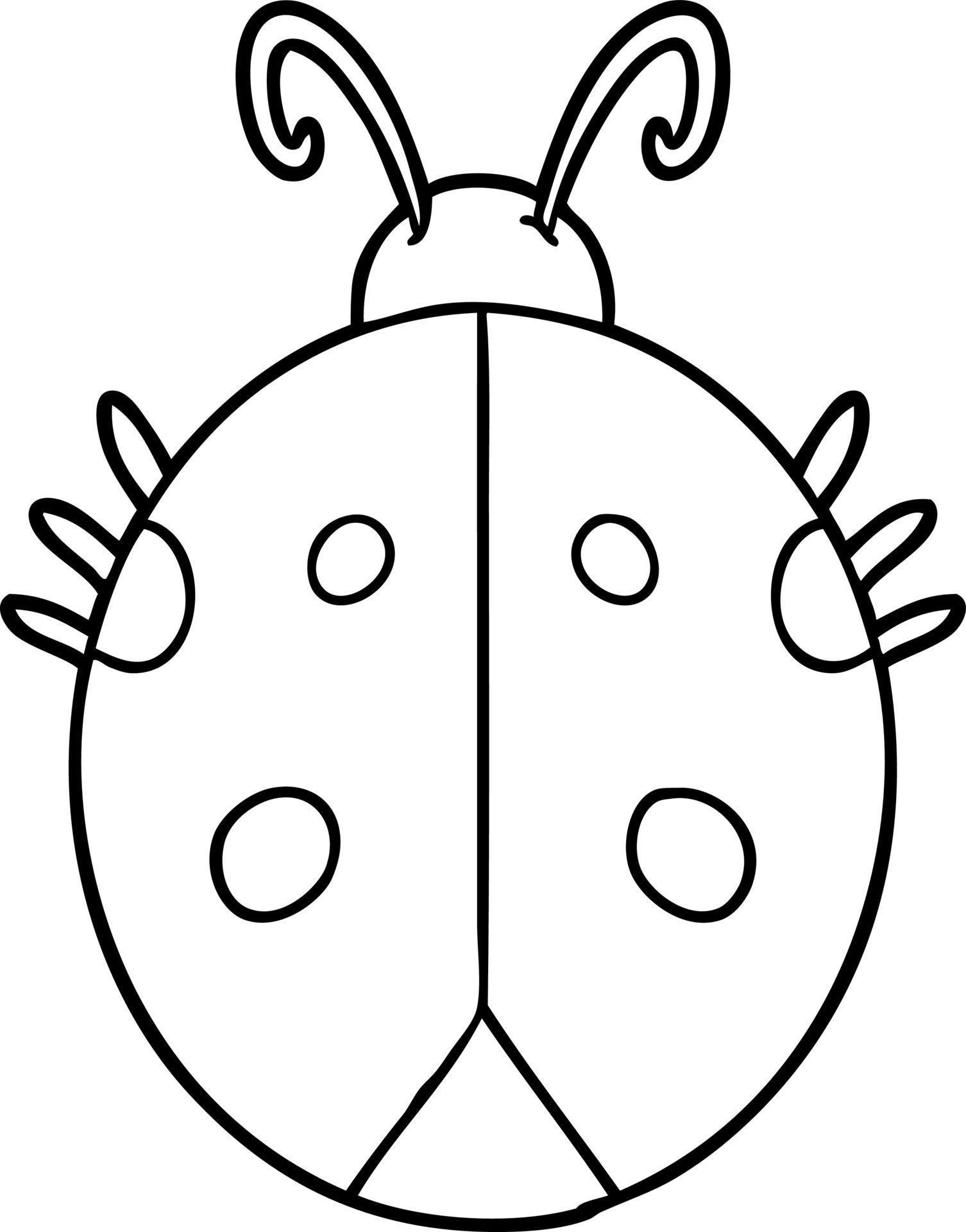 cartoon line drawing ladybug 12536333 Vector Art at Vecteezy