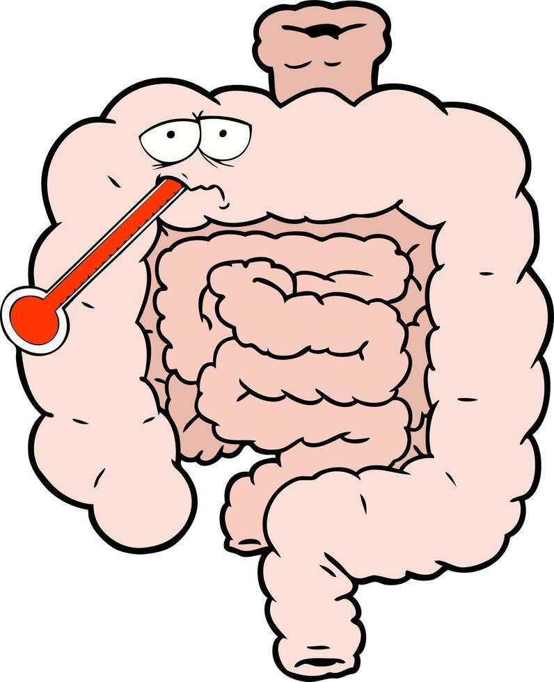 cartoon unhealthy intestines vector