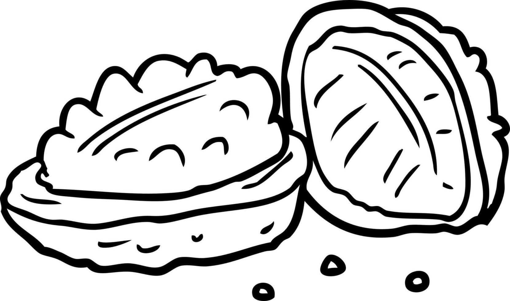 line drawing of a walnuts vector