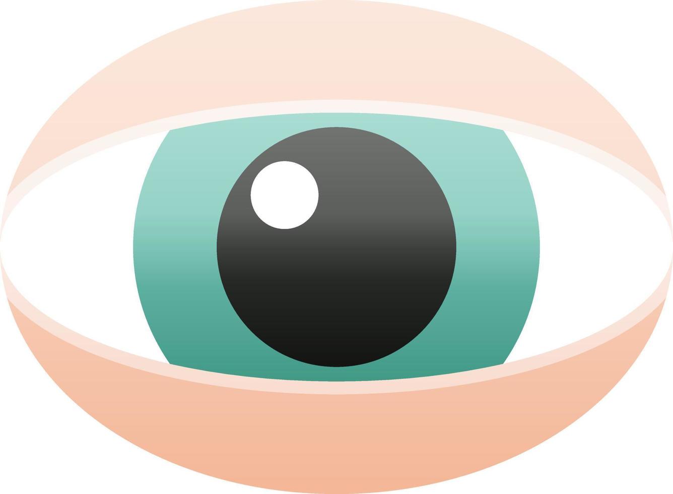 staring eye graphic vector illustration icon