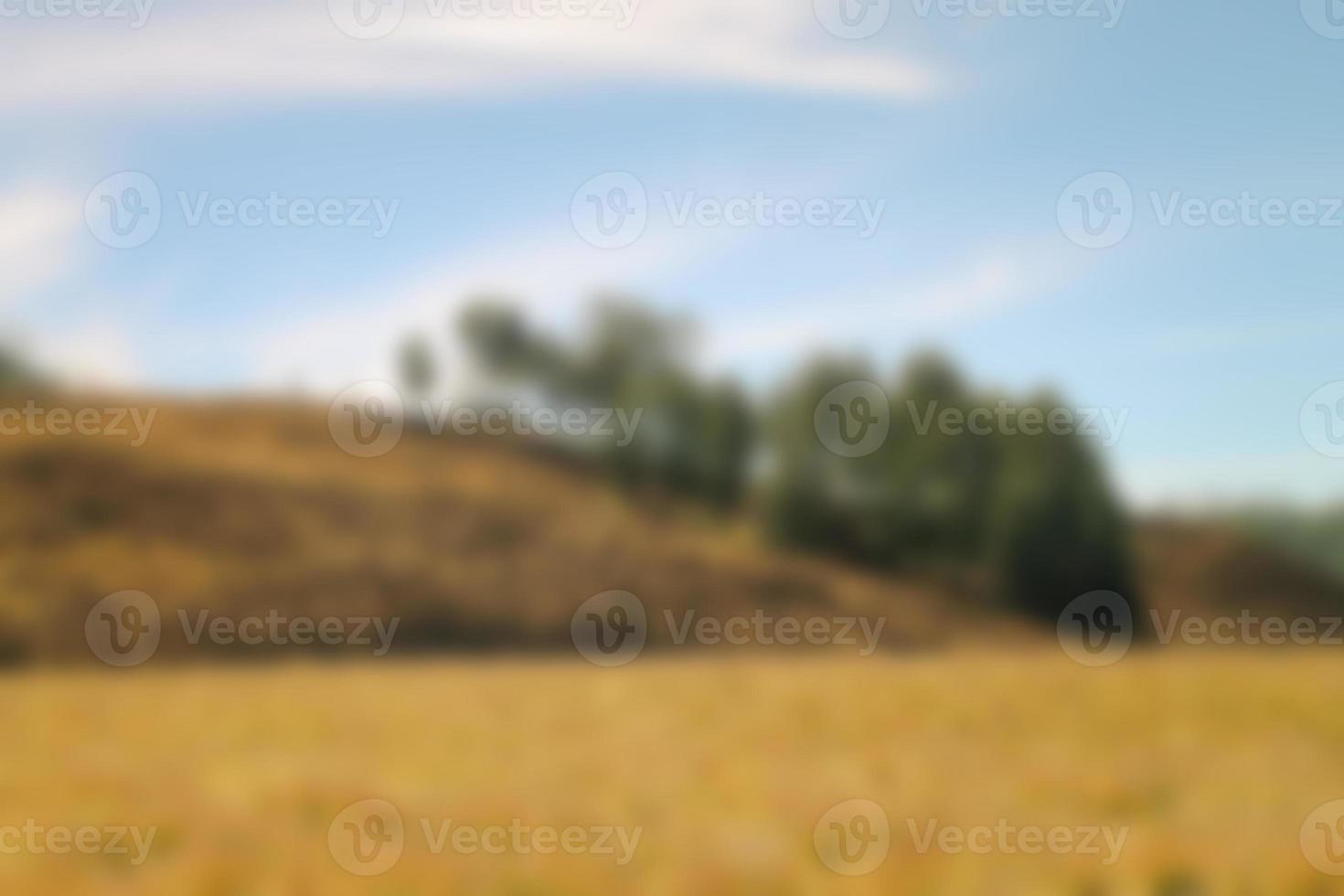 vista borrosa de la pradera en verano, con vistas a la hierba seca. fondo borroso foto