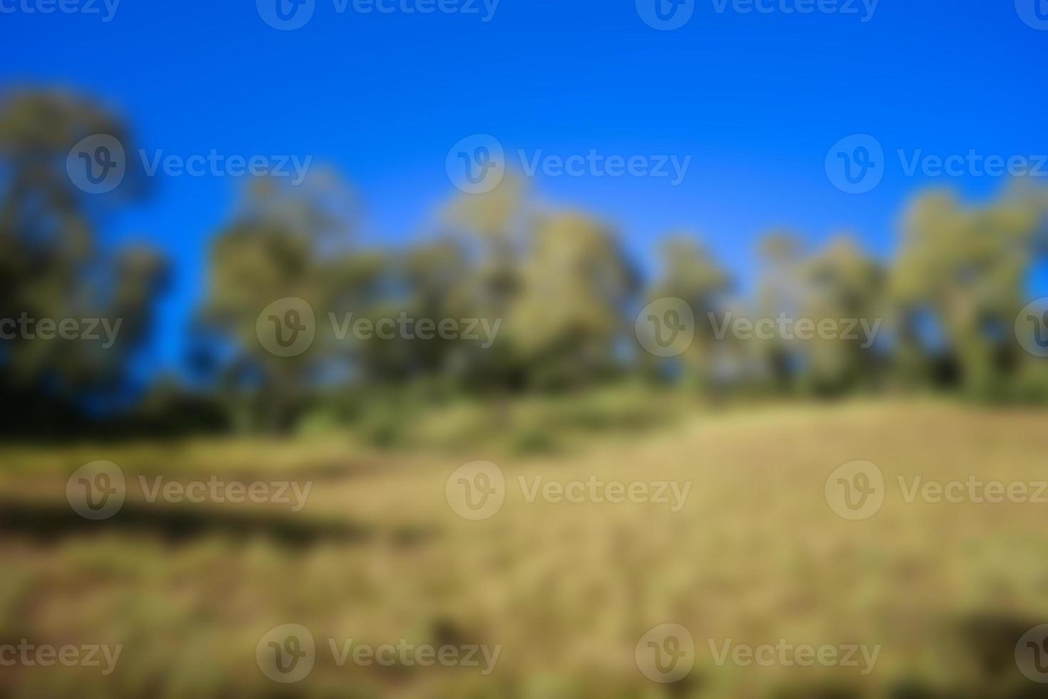Blur park garden tree in nature background, blurry green in summer background photo