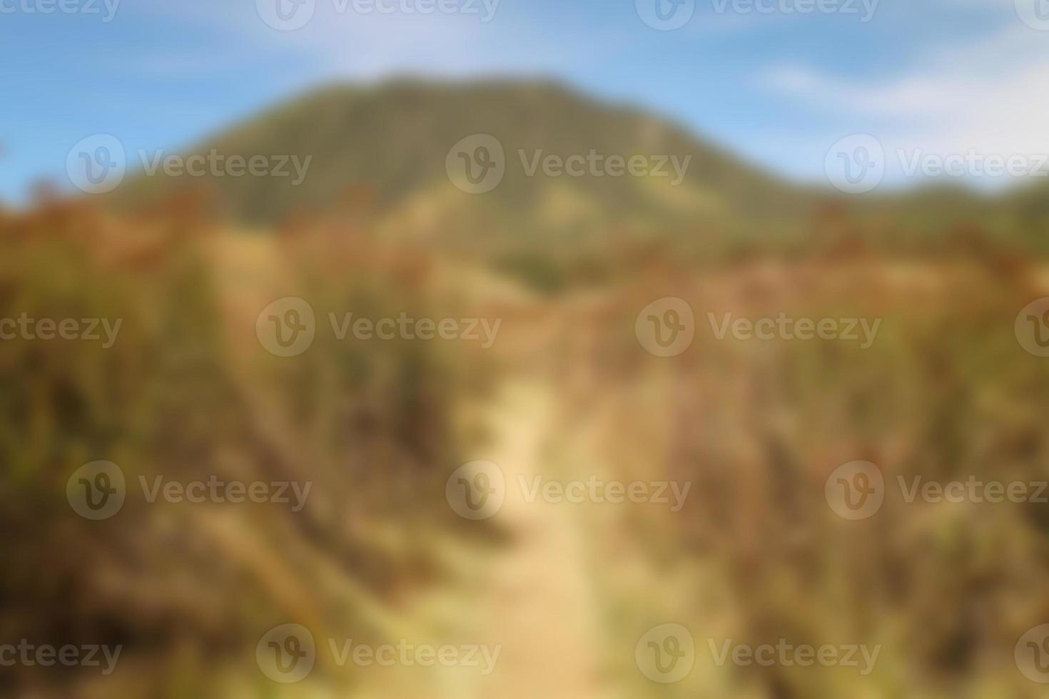blur view of meadow in summer, with a view of dry grass. Blurred background photo