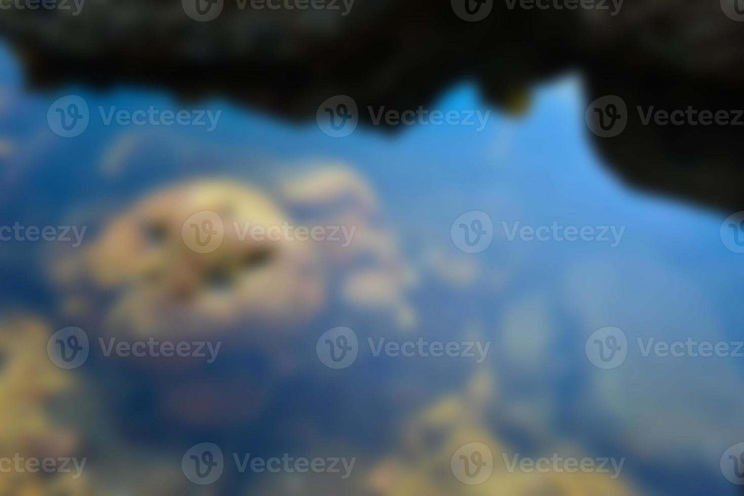Blurred view an underwater tropical coral reef scene below the water surface. Blurred background photo