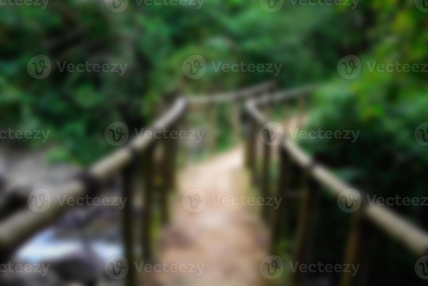 Blur park garden tree in nature background, blurry green in summer background photo