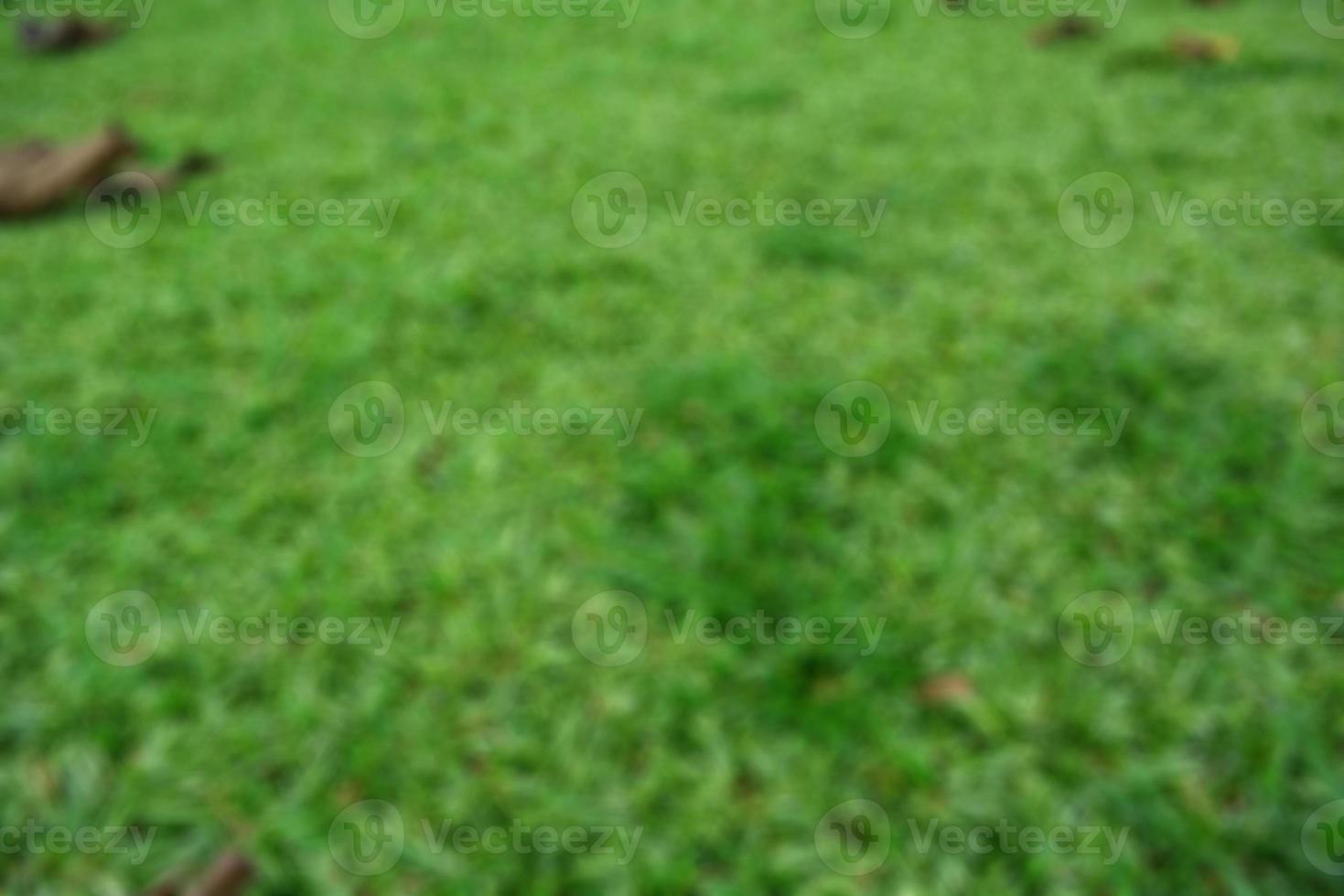 Tea garden view with cloudy clouds. Green nature blured background for your text photo