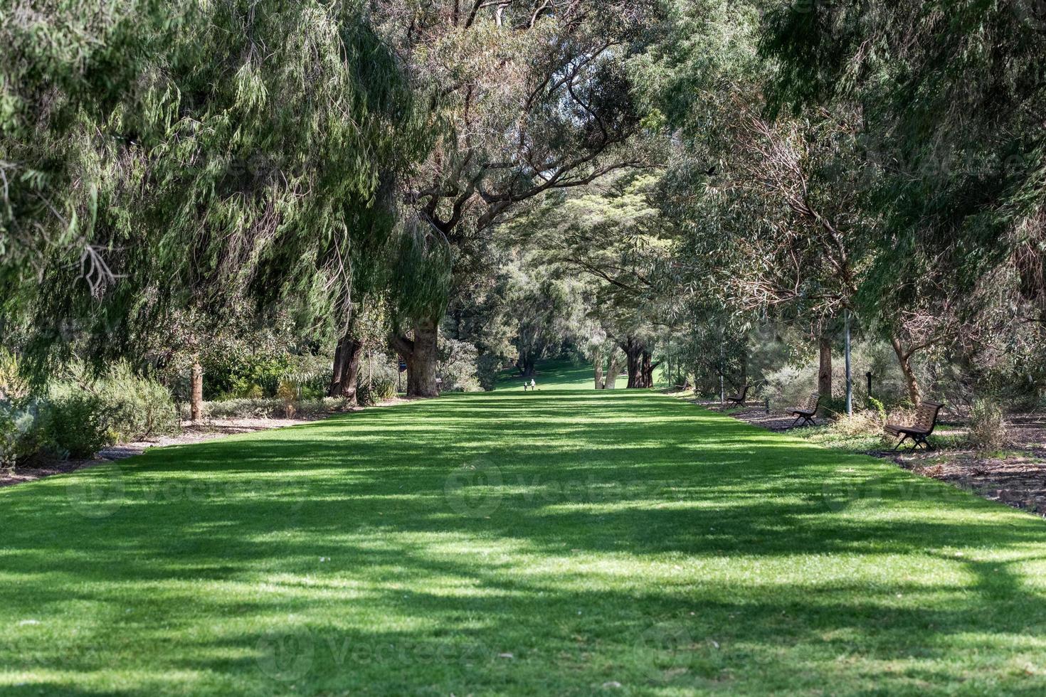 perth botanic gardens west australia photo