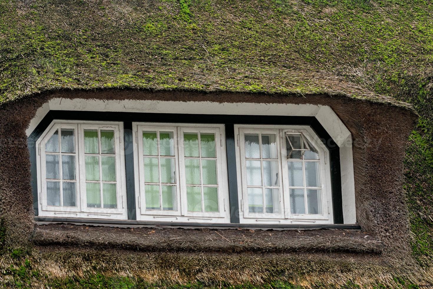 grass window hobbit movie style photo