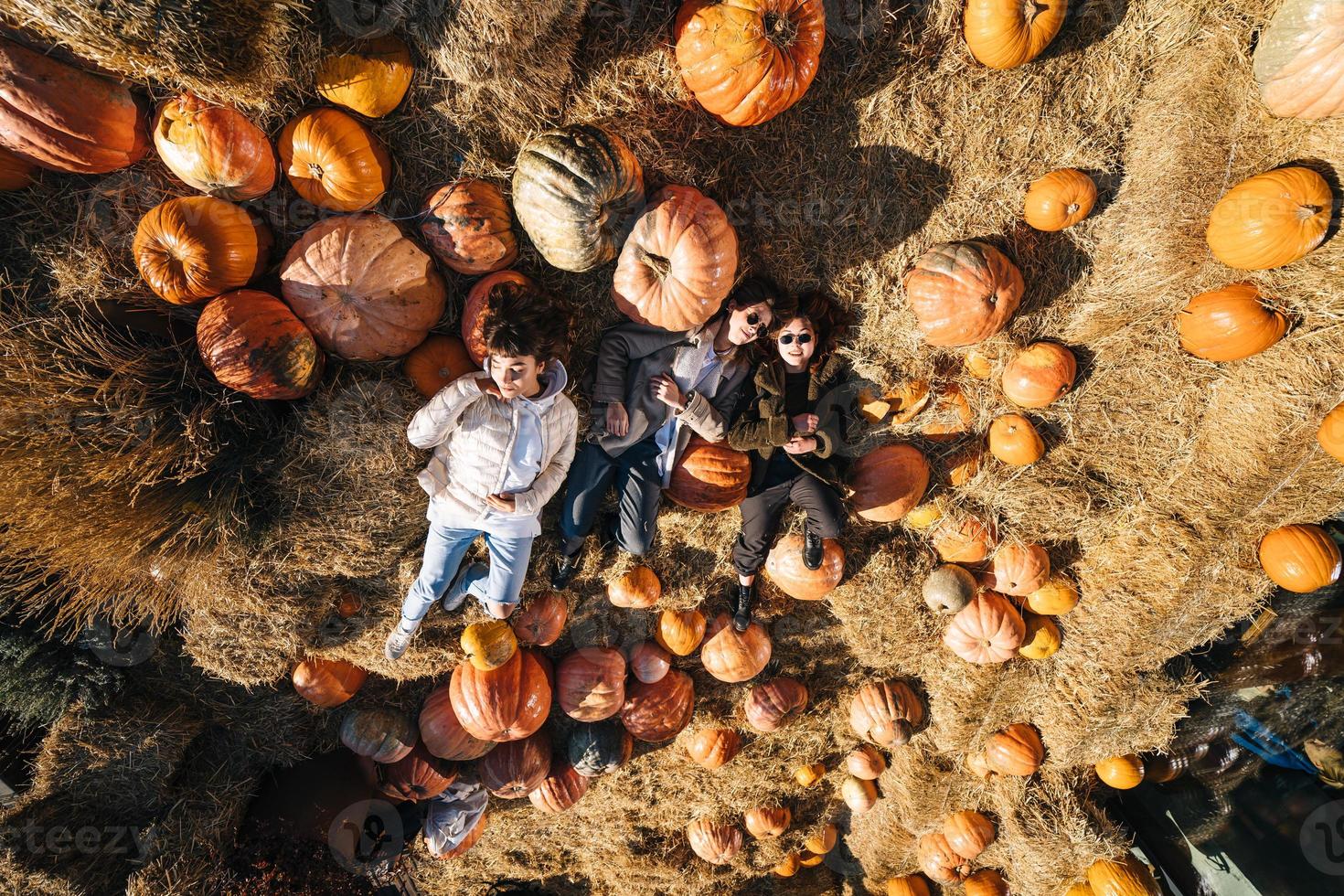 acostado en un huerto de calabazas foto