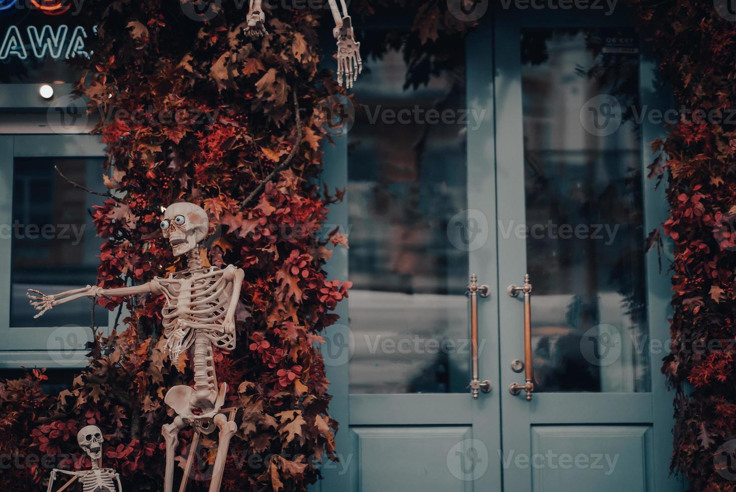 Skeleton outdoor decor photo