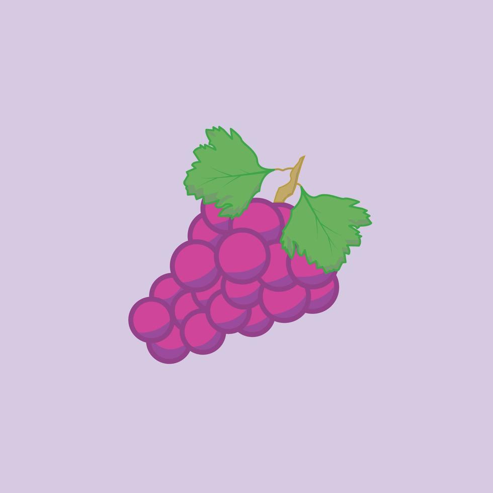 purple fresh grapes vector graphic illustration. Great for children's books and more.