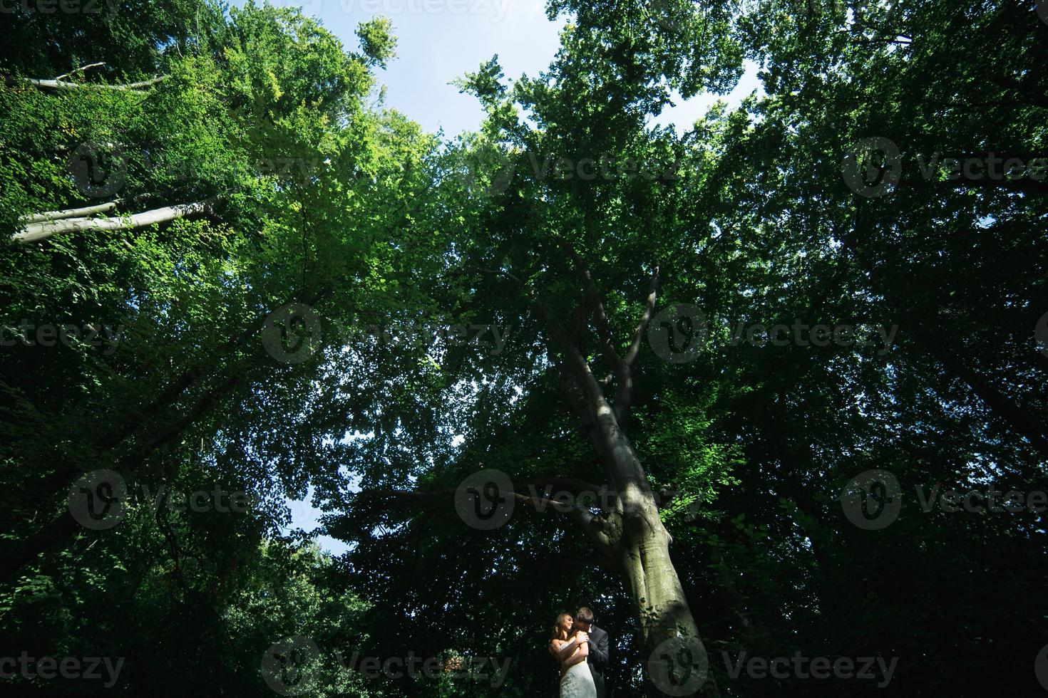 Married couple portrait photo