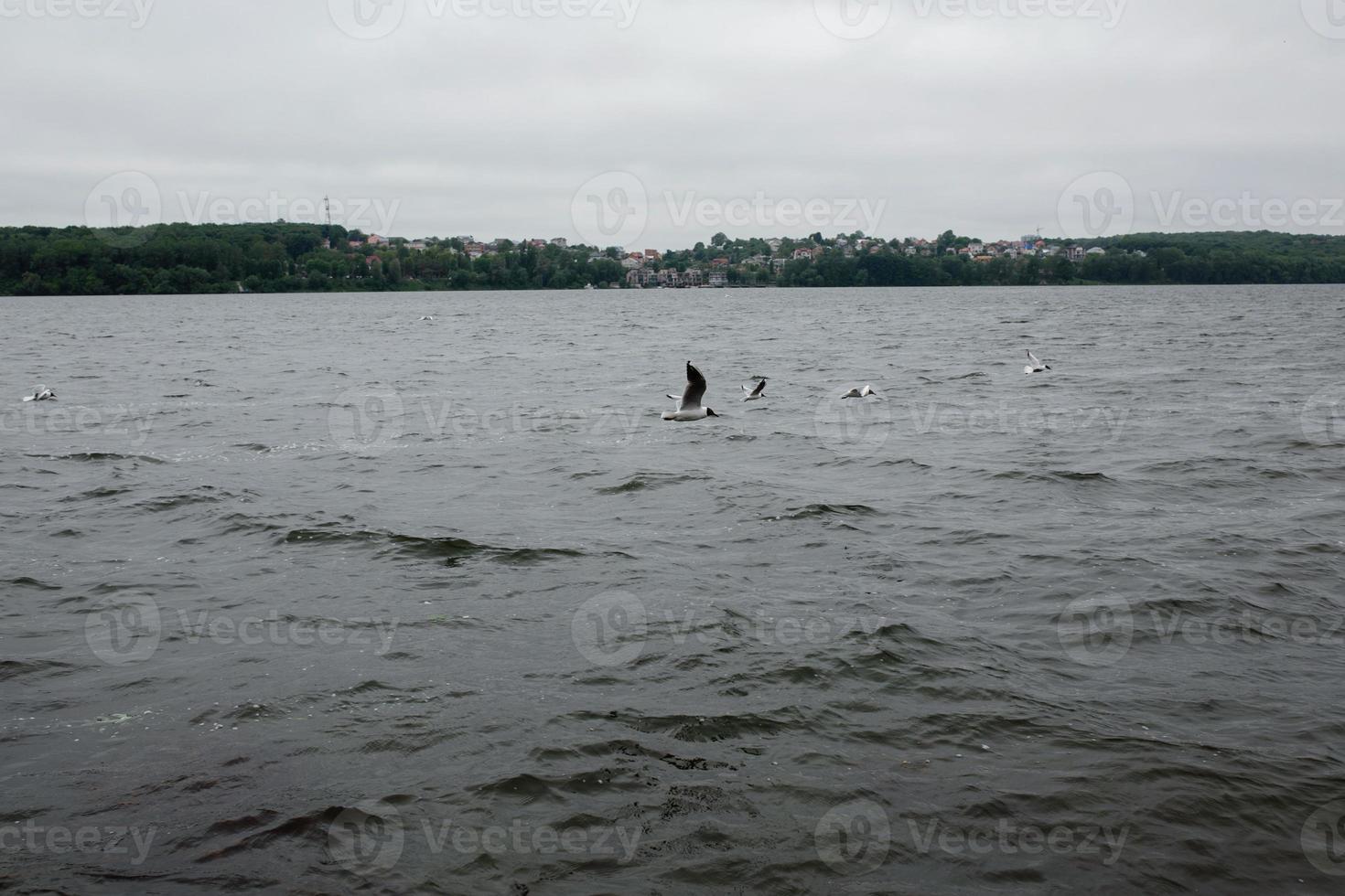 Cloudy day and water photo