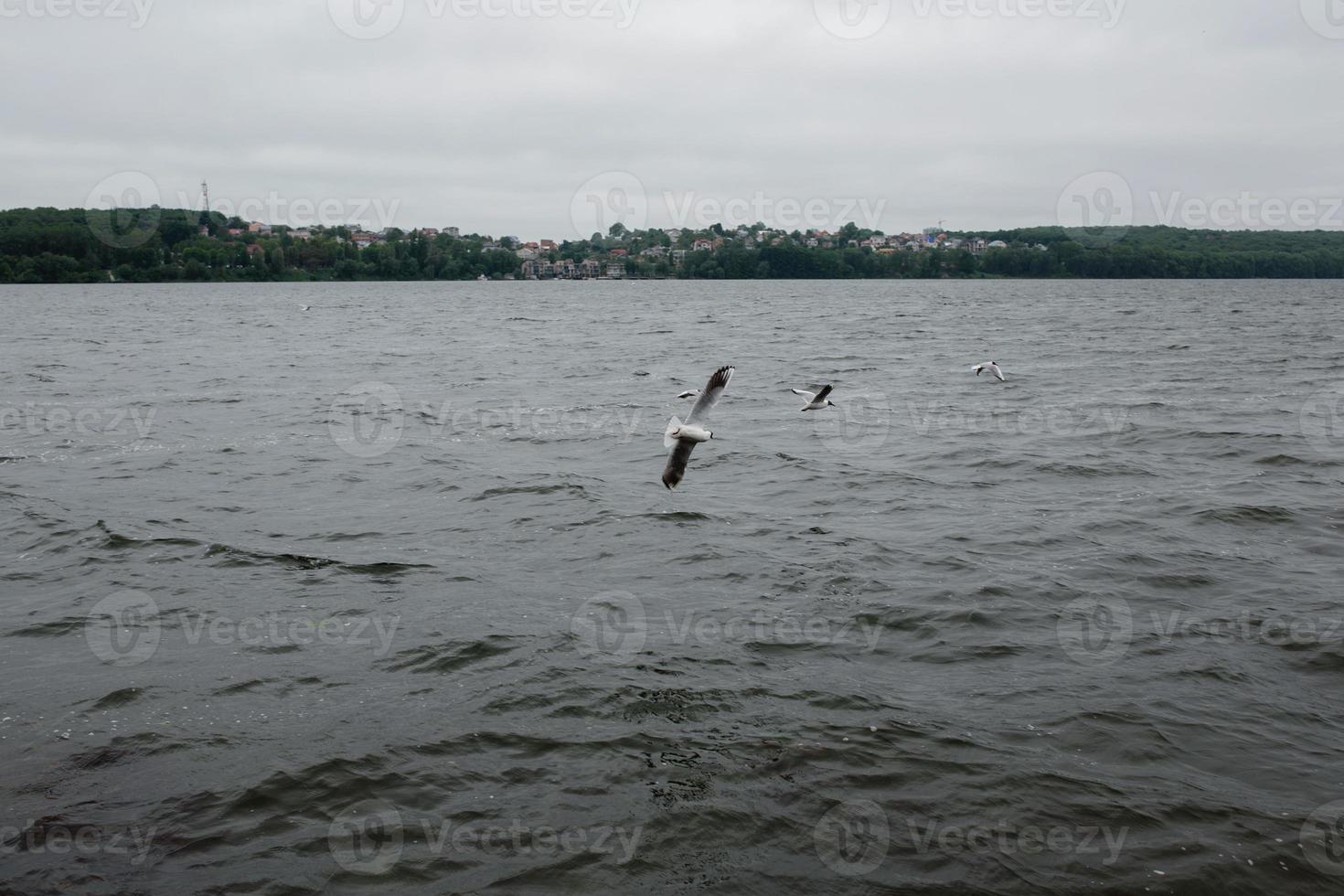 Cloudy day and water photo